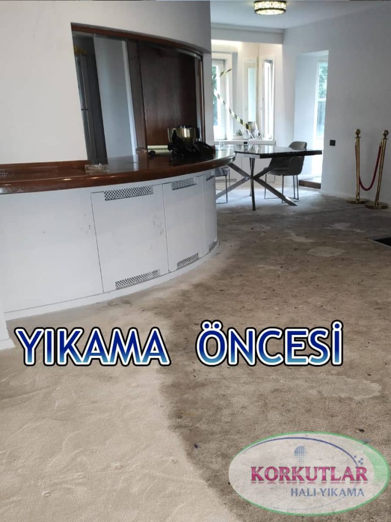 Yerinde halı yıkama, yıkama öncesi